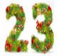 23