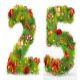 25