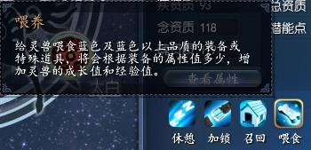 喂养