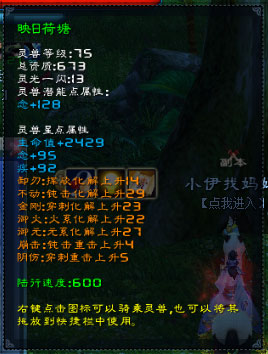 灵兽