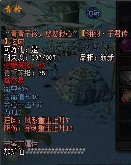 子衿项链展示