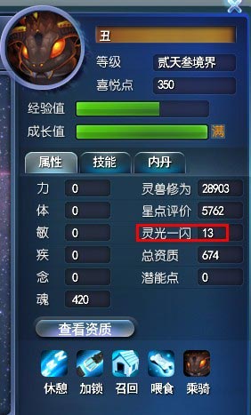 灵兽