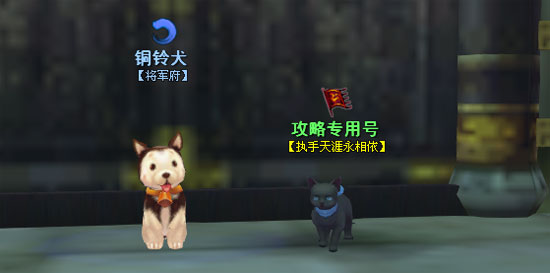 萌猫大冒险